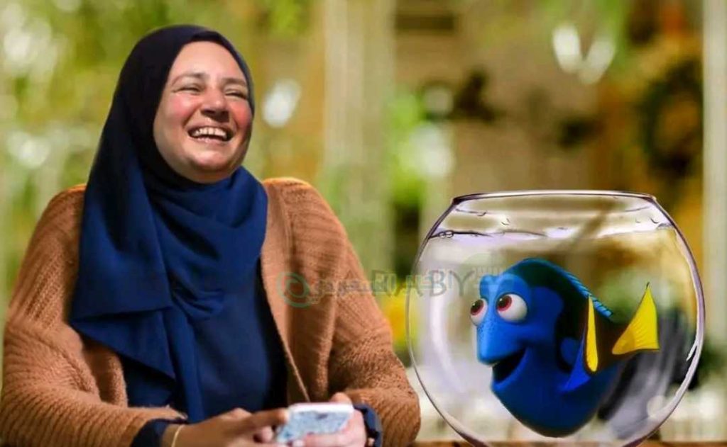 من هي عبلة كامل ويكيبيديا السيرة الذاتية