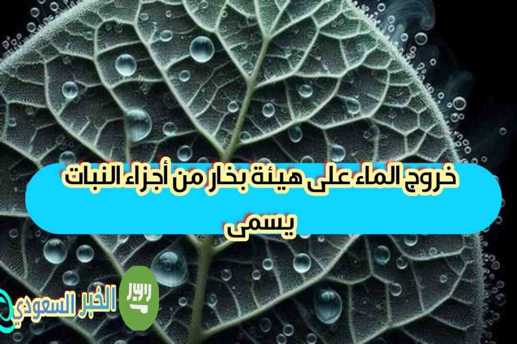 خروج الماء على هيئة بخار من أجزاء النبات يسمى